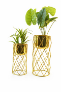 Multi-Purpose Planter Pot for Home Decoration