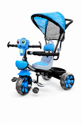 Everyday Outdoor Riding Trike